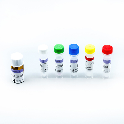 Schneller Test Kit Medical Dignostic DNA-RNS Extraktion PCR