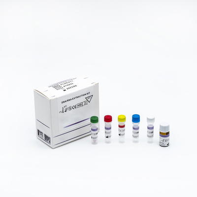 Nukleinsäure-Entdeckung schnelle Bescheinigung PCR-Test-Kit With ISO 13485
