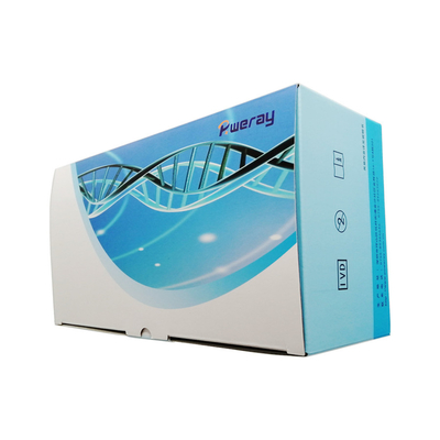 Manueller Antigen-Speichel-Test-Ausrüstung NCoV AG schneller Test-kolloidales Gold