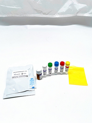 99,9% Bescheinigung Reinheit PCR-Reagens-Kit Viral-RNS-DNA-Extraktion Kitwith FSC