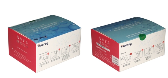 Wegwerf-VTM Test Kit Virus Sampling For Covid-19 3ML