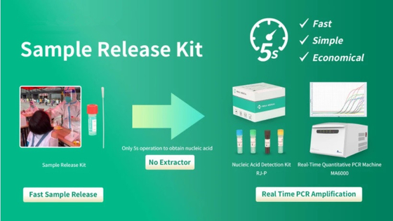 Test-Ausrüstung DNA-Freigabe-Reagens FDA-Zustimmung Virus-Beispiel-PCR schnelle