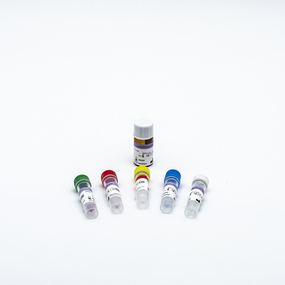 Tests Kit High Reliablity Medical der DNA-RNS PCR-Reagens-Ausrüstungs-48