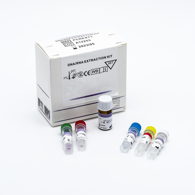 Nukleinsäure-Entdeckung schnelle Bescheinigung PCR-Test-Kit With ISO 13485