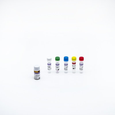 Covid 19 Viren-PCR-Reagens-Kit Real Time PCR mit Nasenrachenraumputzlappen